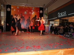 SONY DSC