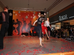 SONY DSC