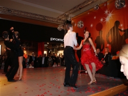 SONY DSC