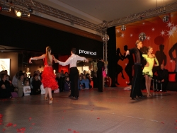 SONY DSC