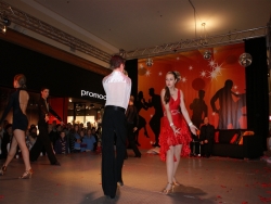 SONY DSC