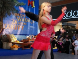 SONY DSC