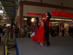 SONY DSC