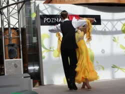 SONY DSC