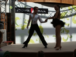 SONY DSC